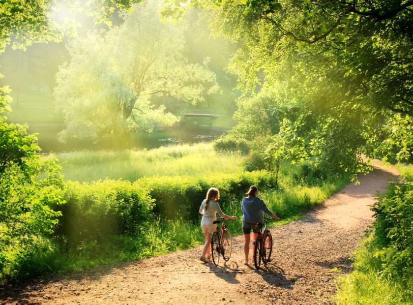 Couple walking with bicycles jigsaw puzzle online