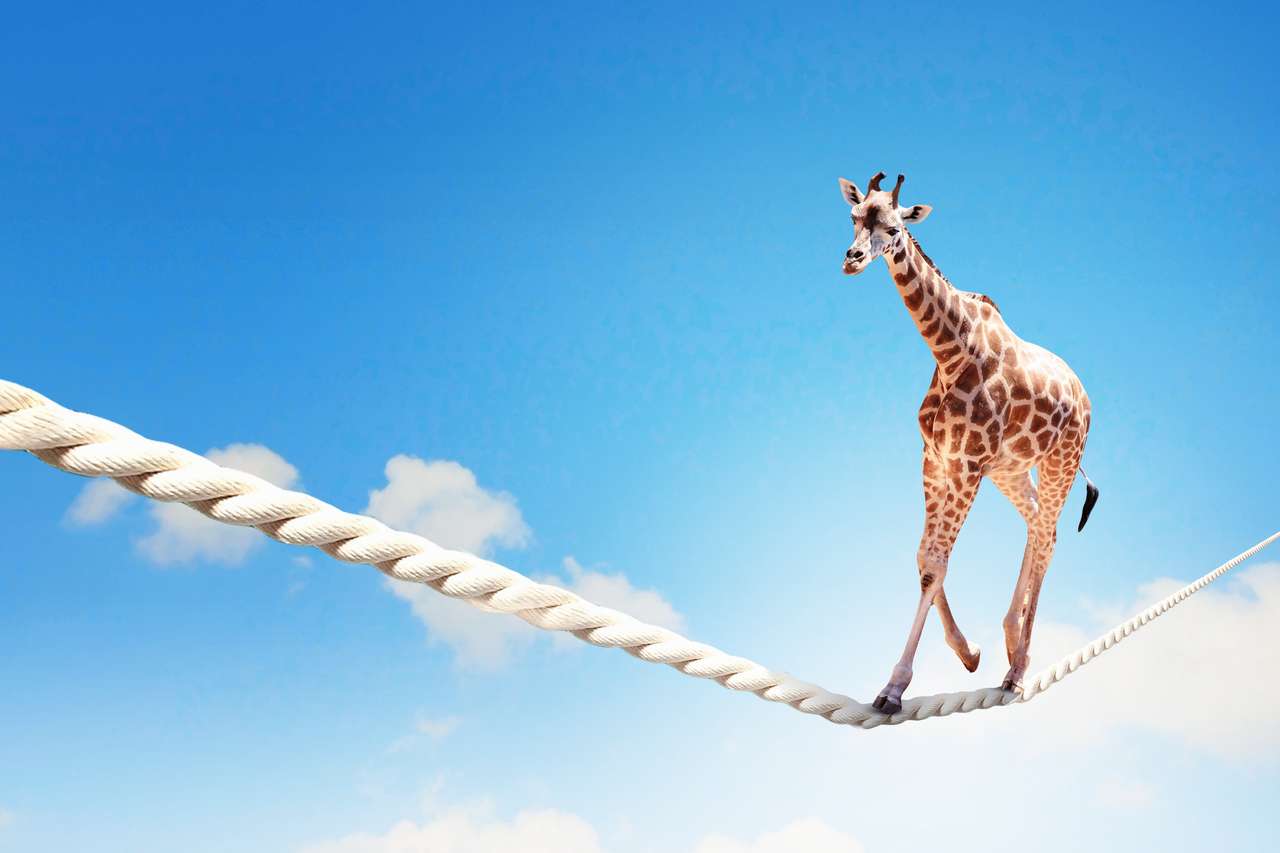Giraffa che cammina sulla corda puzzle online