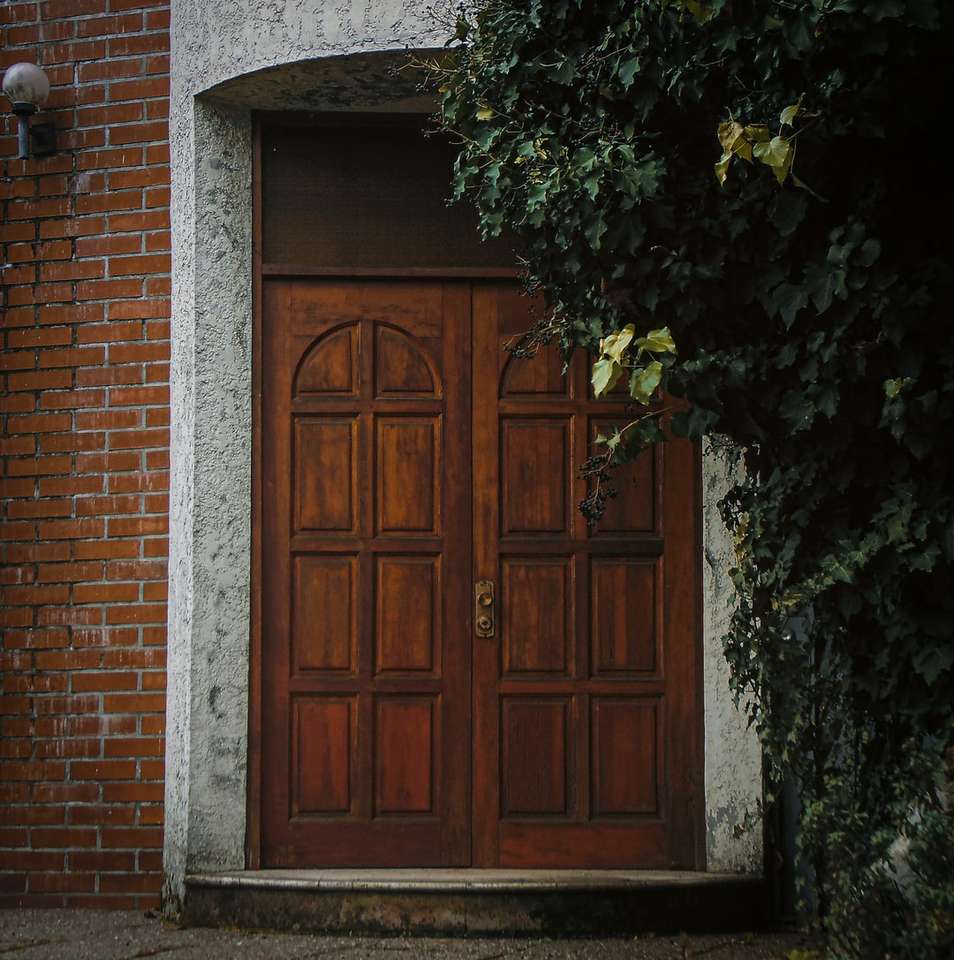 кафява дървена врата със зелени лози онлайн пъзел