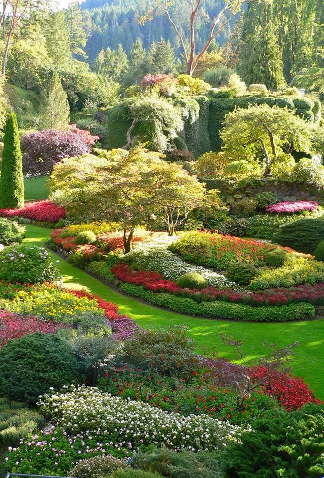 Jardim de flores puzzle online