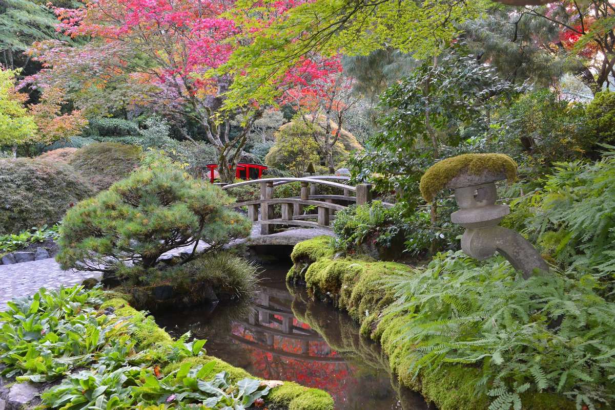 Японский сад онлайн-пазл