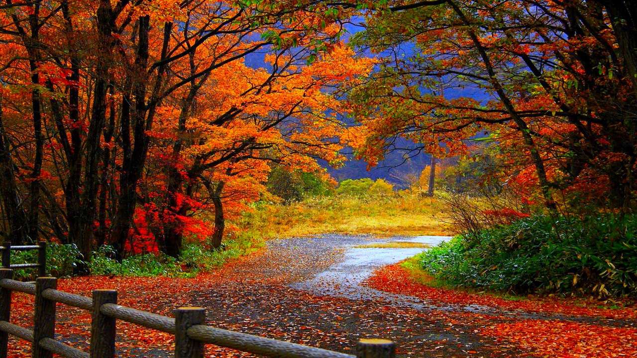 forêt d'automne puzzle en ligne