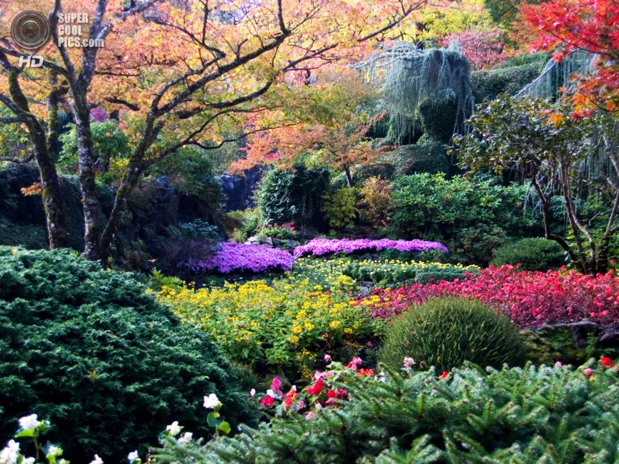 Японський сад онлайн пазл