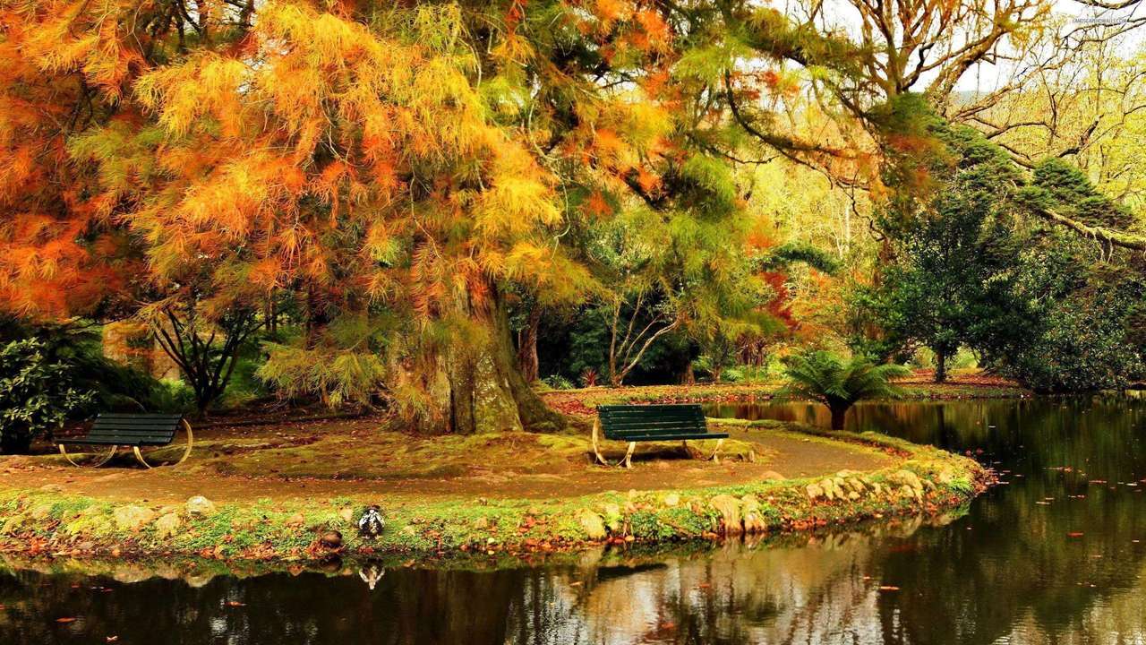 Herbst im Park Puzzlespiel online
