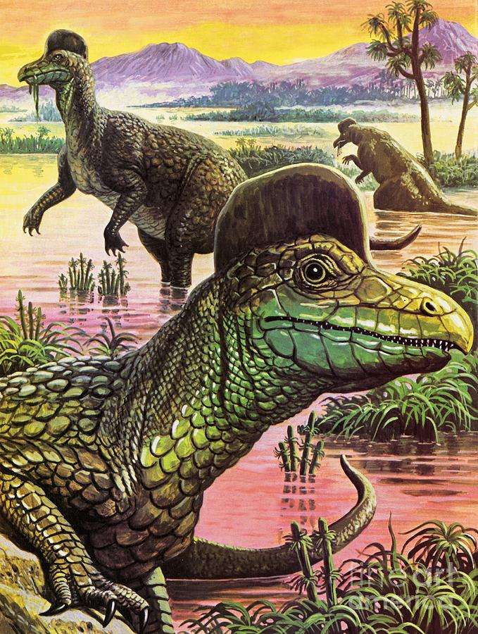 Dinossauros quebra-cabeças online