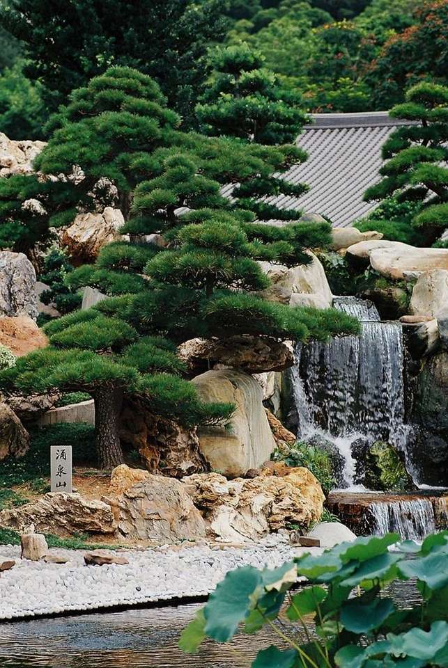Specifik japansk trädgård Pussel online