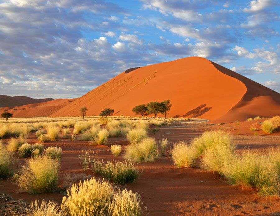 Deserto da Namíbia - Namíbia puzzle online