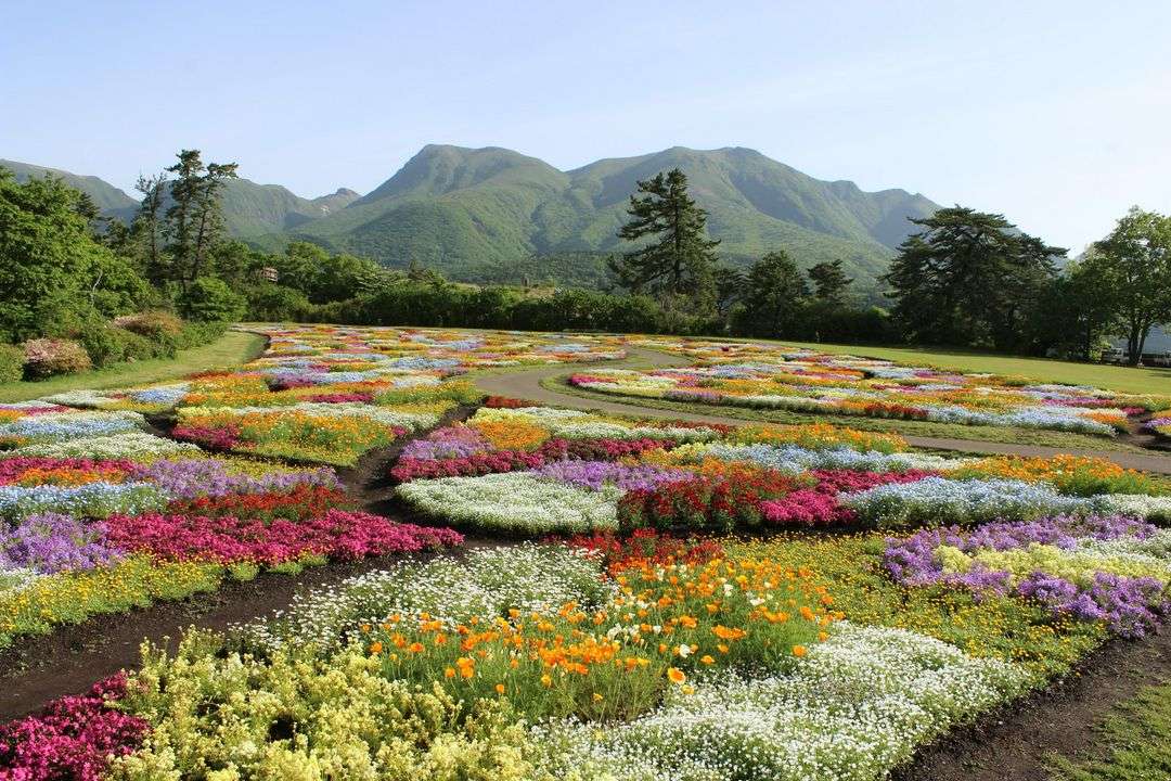 Tiempo de primavera en Kuju Flower Park, Japón rompecabezas en línea