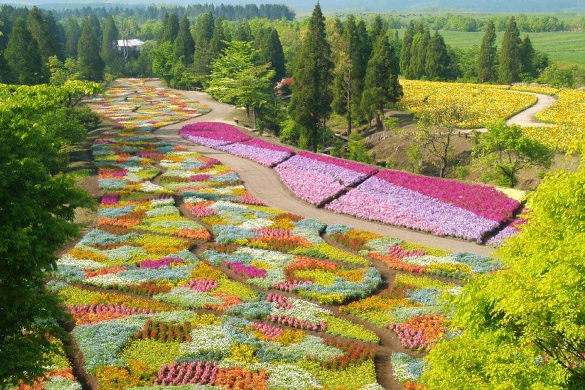Frühlingszeit im Kuju Flower Park, Japan Puzzlespiel online