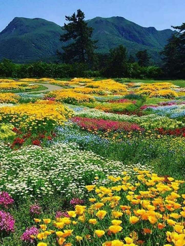 Temps de printemps au parc floral de Kuju, Japon puzzle en ligne