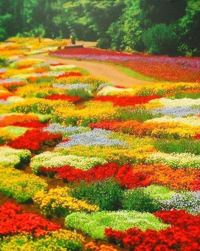 Květinový park Kuju online puzzle