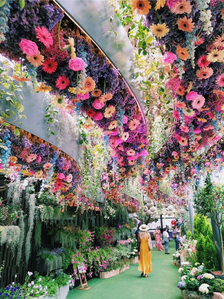 Выставка цветов в Сингапуре онлайн-пазл