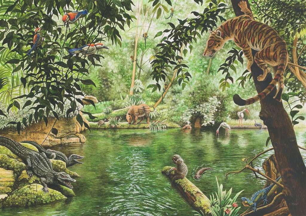 Ζώα της ζούγκλας παζλ online