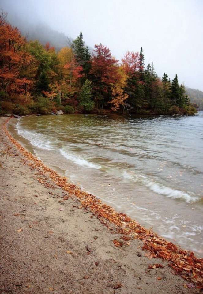 Hösten vid havet pussel på nätet