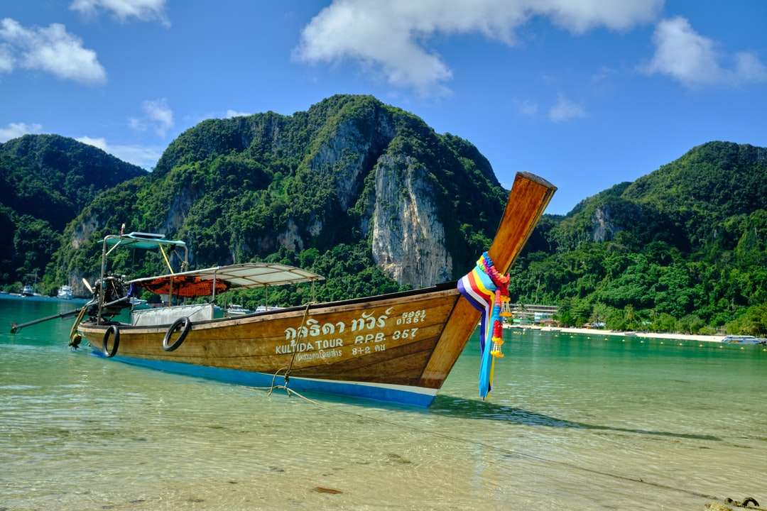 barca di legno marrone sulla riva del mare durante il giorno puzzle online