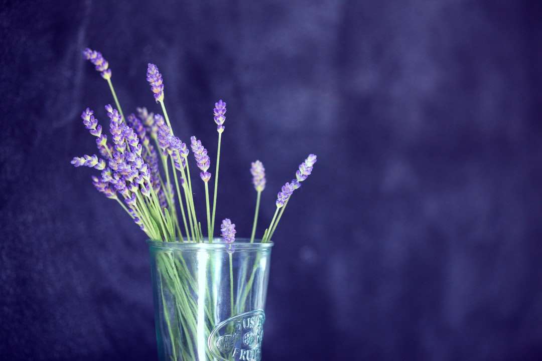 Foto en primer plano de flores de pétalos de color púrpura en vidrio rompecabezas en línea