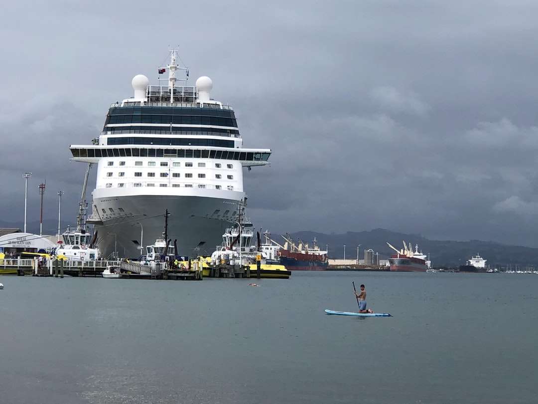 wit en zwart cruiseschip op zee onder grijze lucht online puzzel