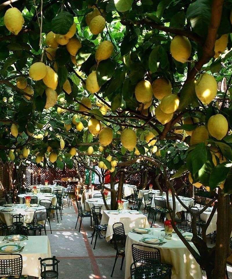 Terraço de limão quebra-cabeças online