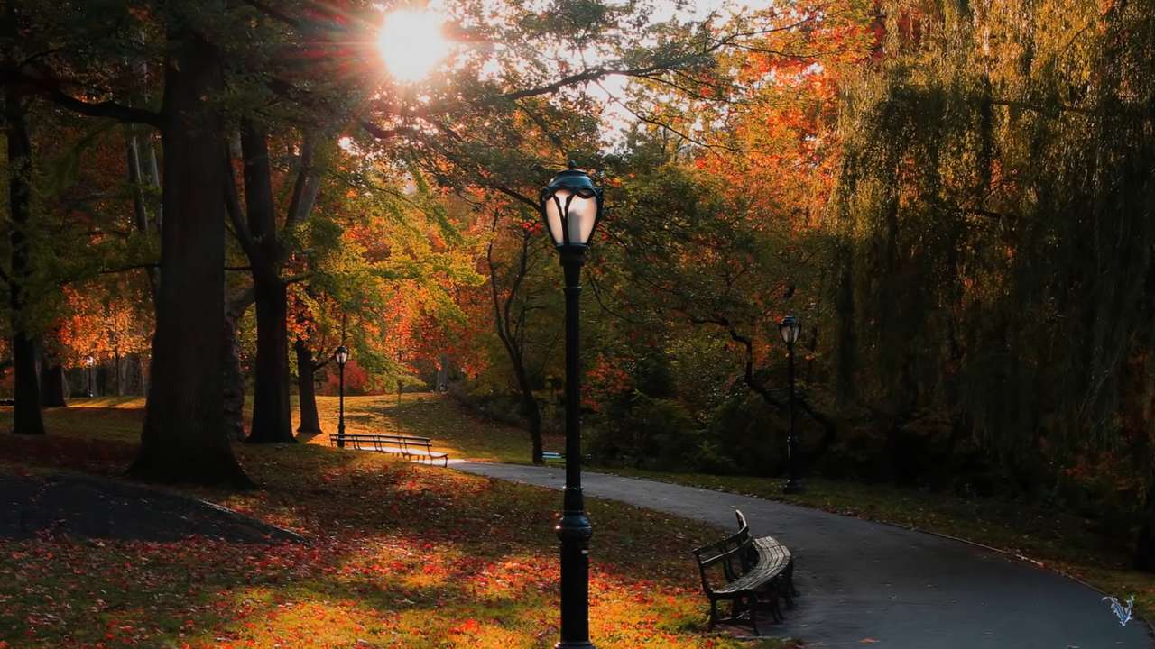 Есен в парка онлайн пъзел