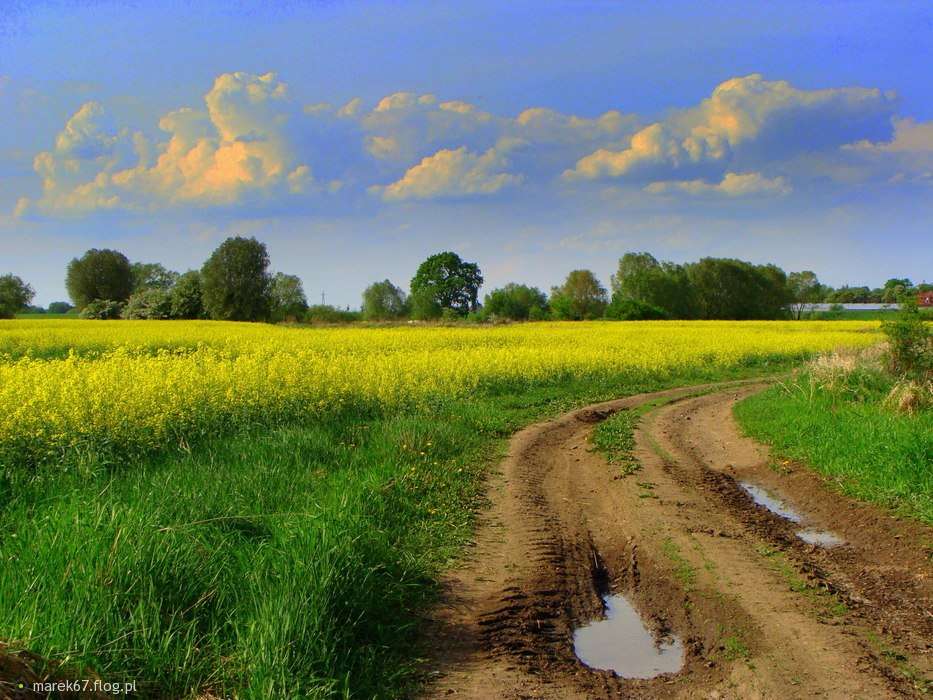 Sandy road in the countryside jigsaw puzzle online