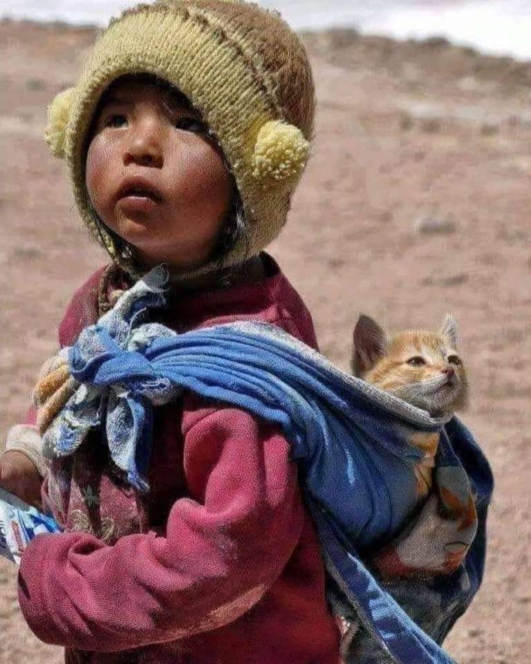Θιβετιανό παιδί online παζλ