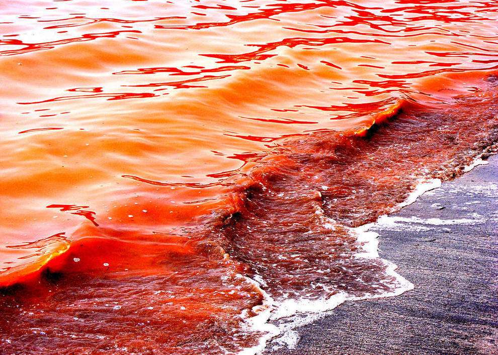 Moře se změnilo v krev skládačky online