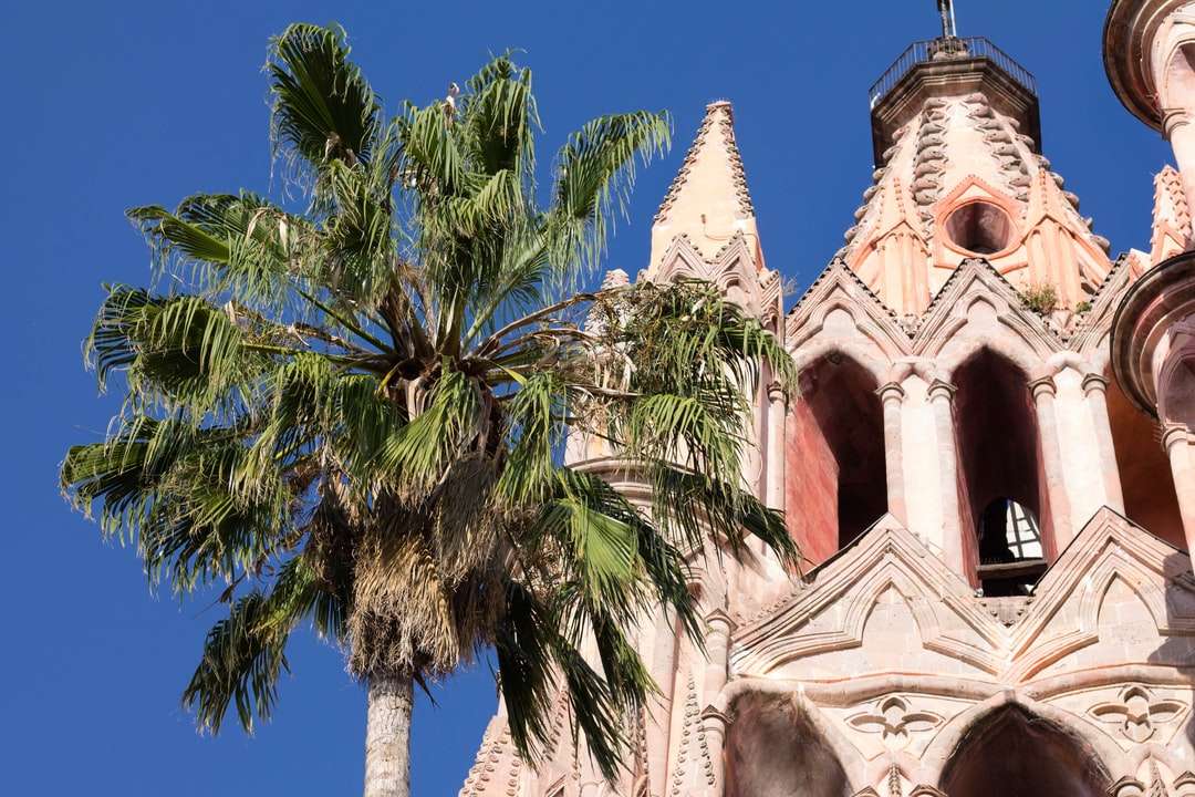 palmträd bredvid den vita kyrkan Pussel online
