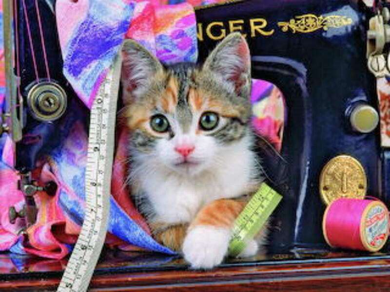 Комплект за шиене на котенца онлайн пъзел