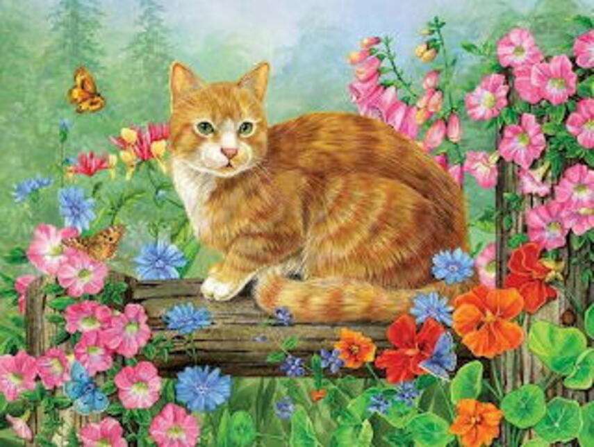 Kitten posing in garden jigsaw puzzle online