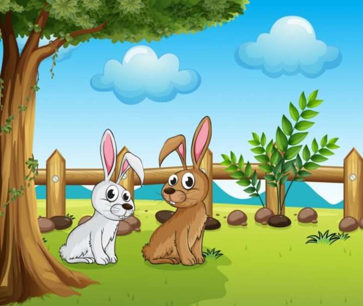 Nieuwsgierige konijntjes online puzzel