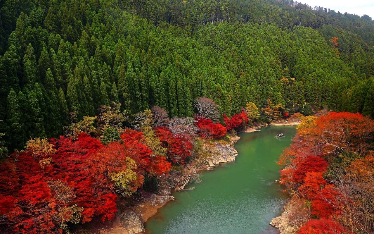 fiume d'autunno puzzle online