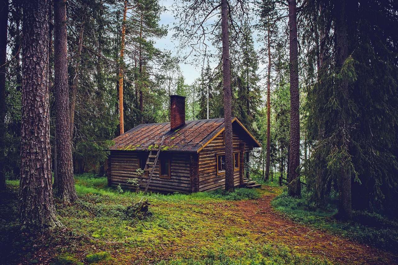 εξοχικό σπίτι στο δάσος παζλ online
