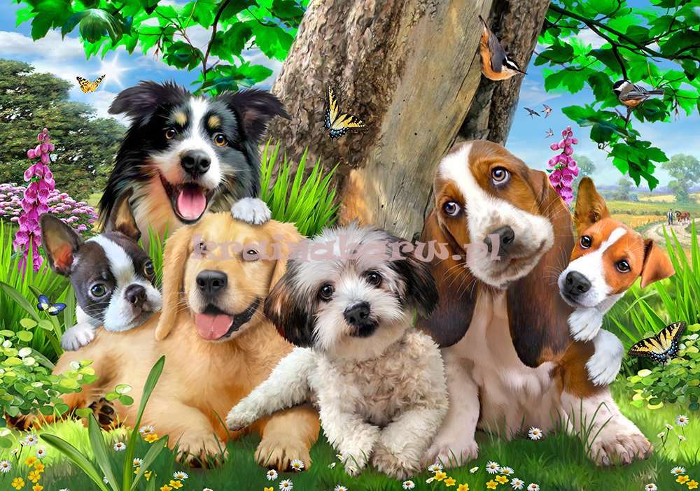 Cani di razza puzzle online