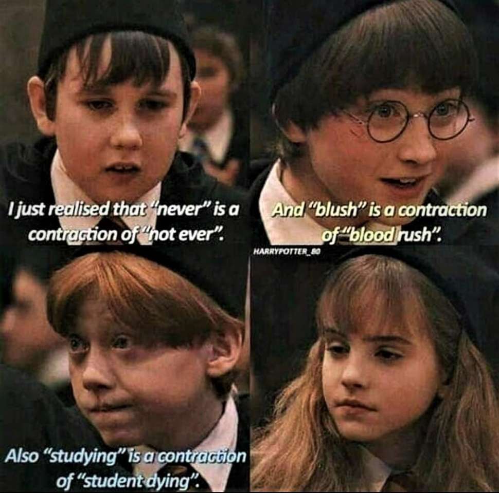 MEME HARRY POTTER