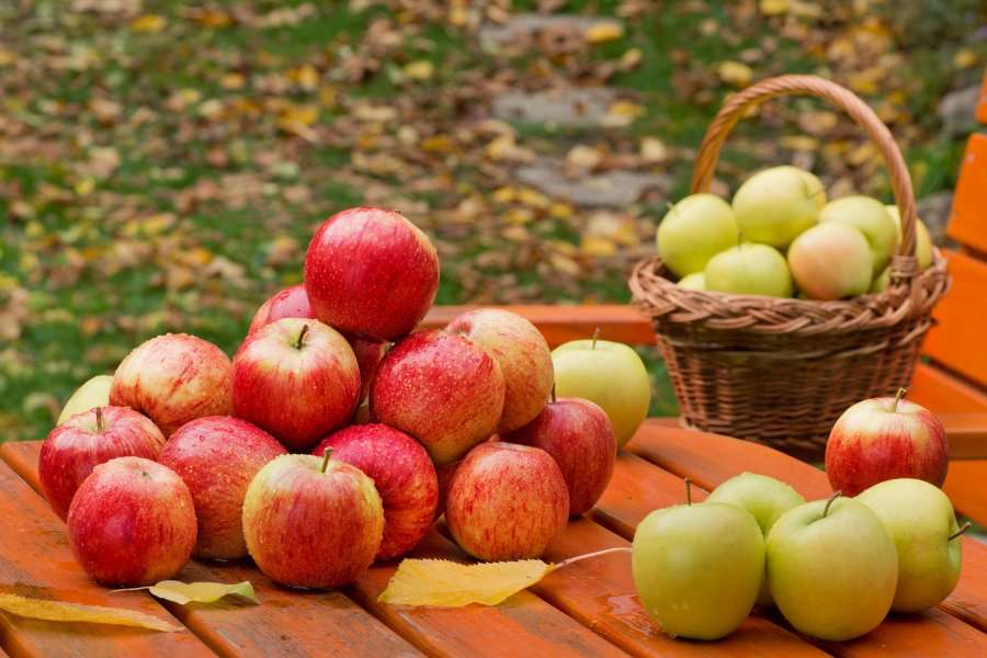 Сентябрьские яблоки пазл онлайн