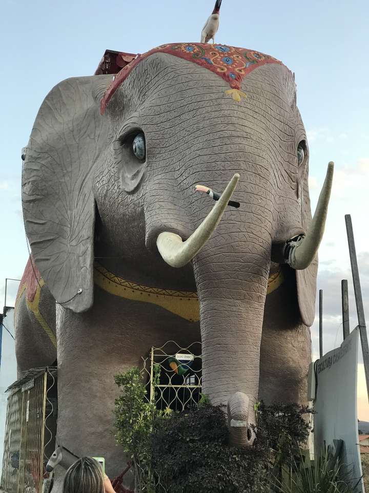 Elefánt kirakós online