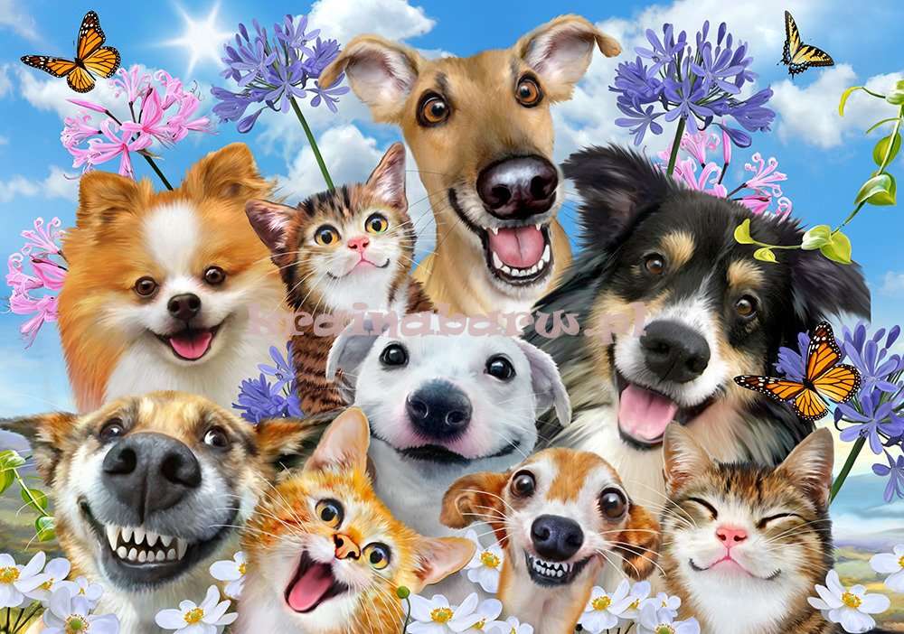 Dogs and cats online puzzle