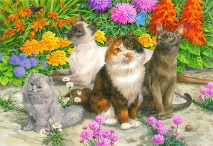 Beautiful kittens in garden online puzzle
