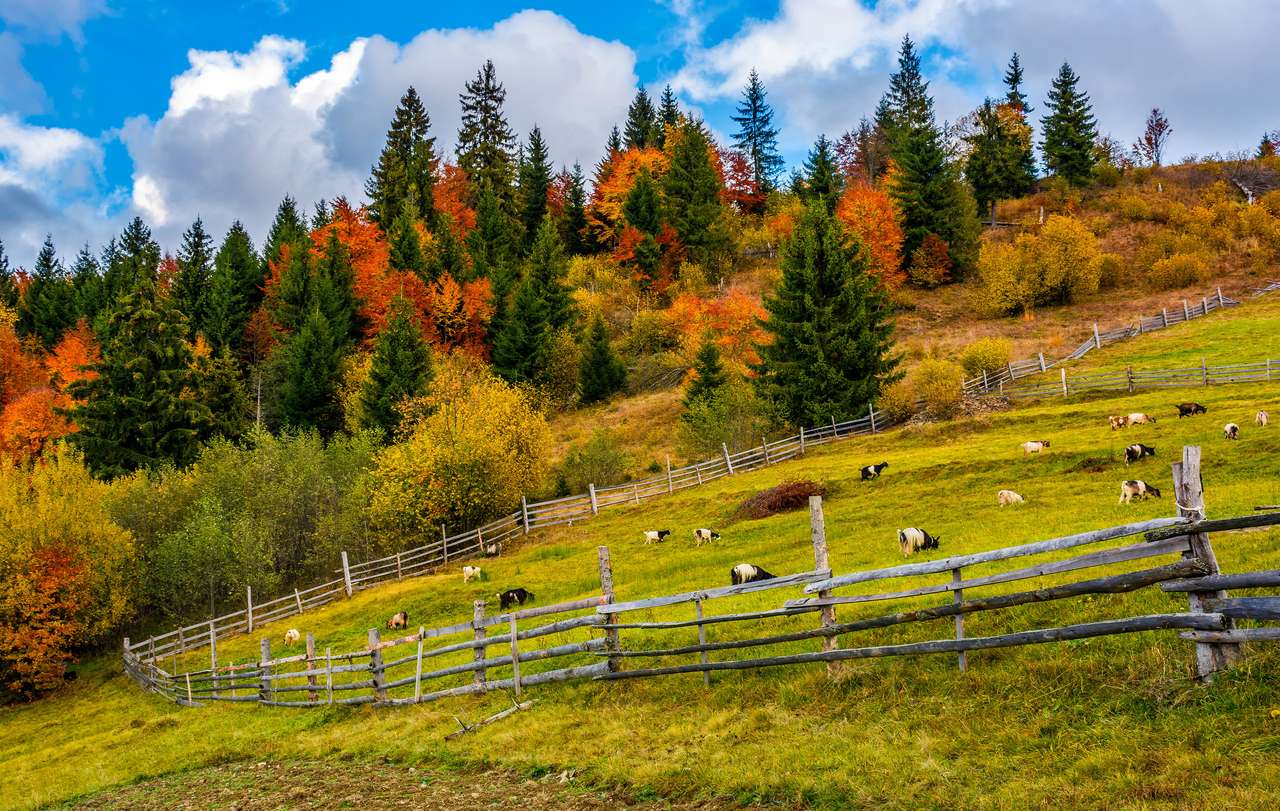 Vackert landskap på hösten. Pussel online