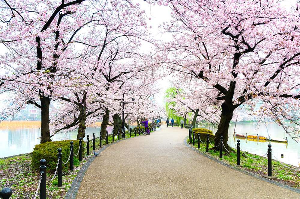 Το πάρκο Ueno παζλ online