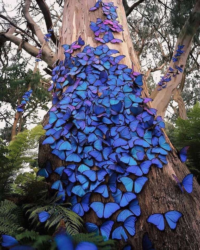 fjärilar på trädet pussel på nätet