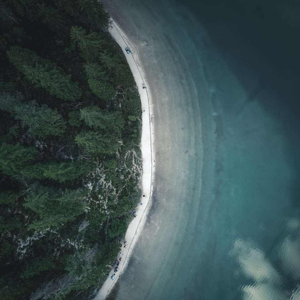 въздушна фотография на дървета в близост до морето през деня онлайн пъзел