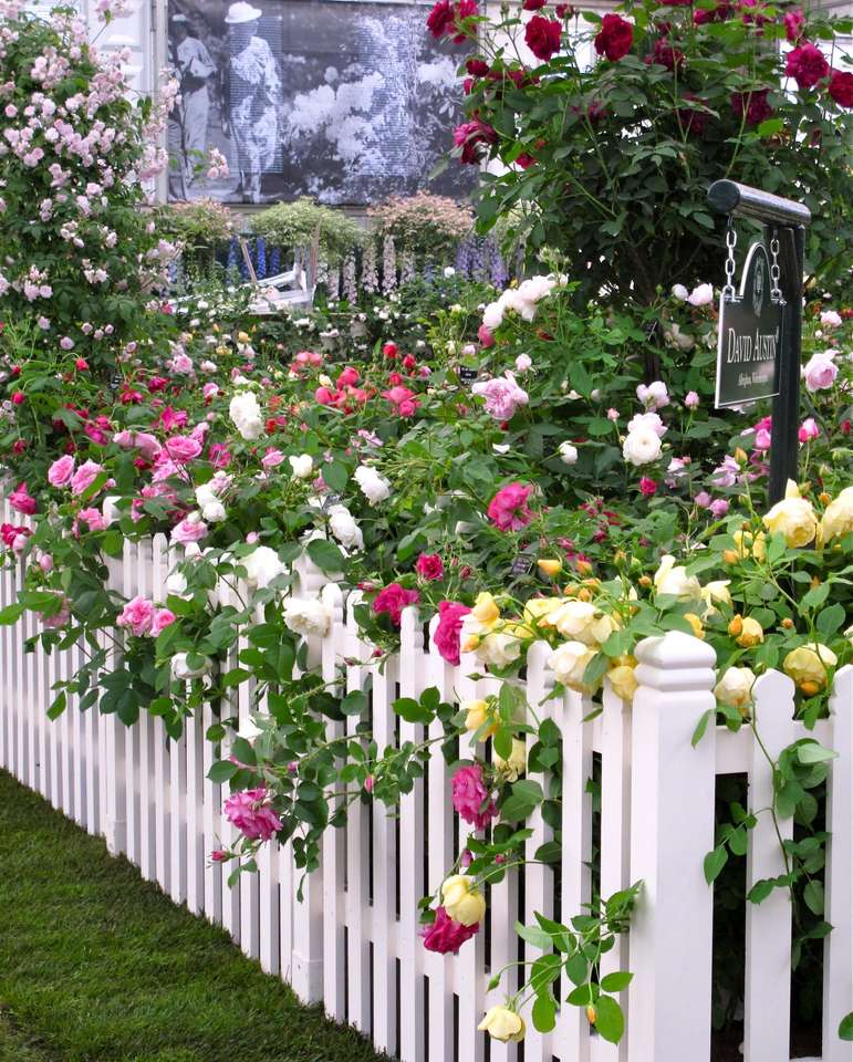 jardín de rosas rompecabezas en línea