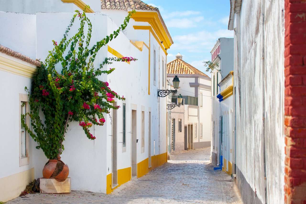 Straat in Faro, Algarve, Portugal. online puzzel