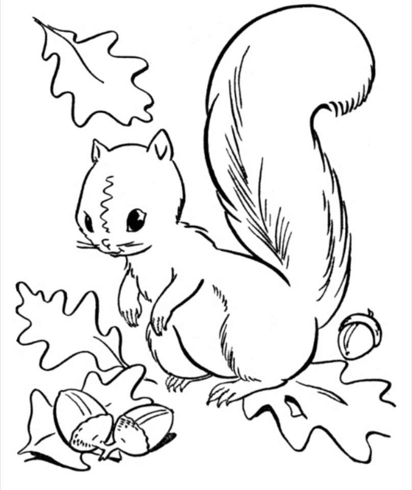 Eichhörnchen im Herbst Online-Puzzle