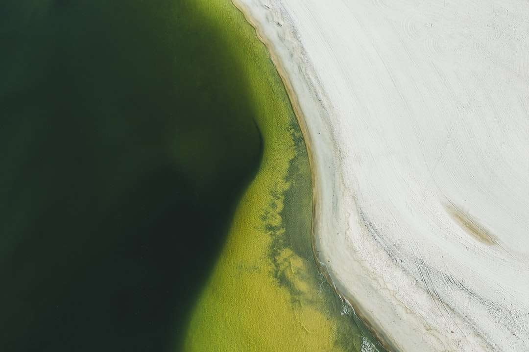 Luftaufnahme des grünen Sees Puzzlespiel online