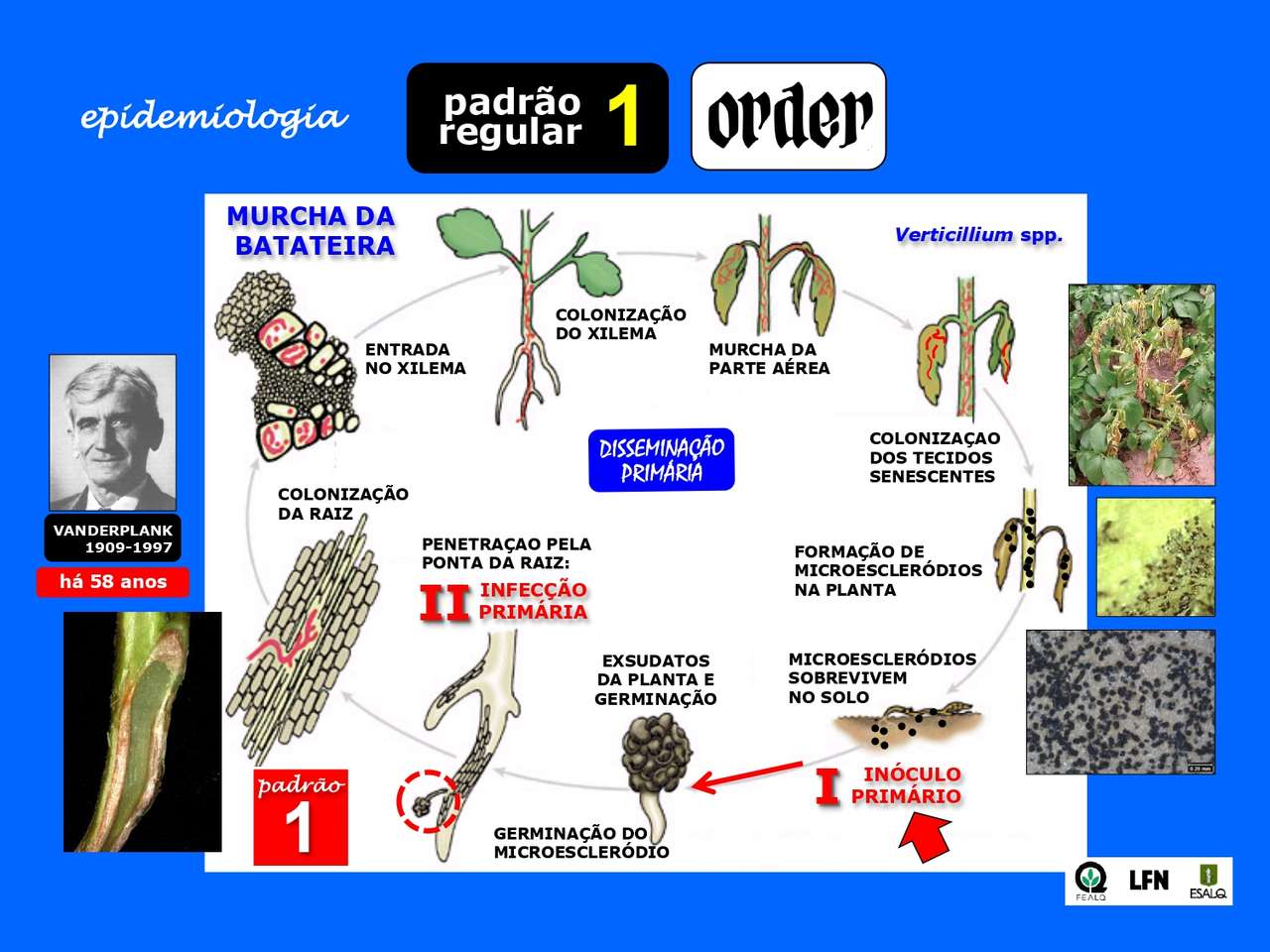 FITOPATOLOGIA puzzle online