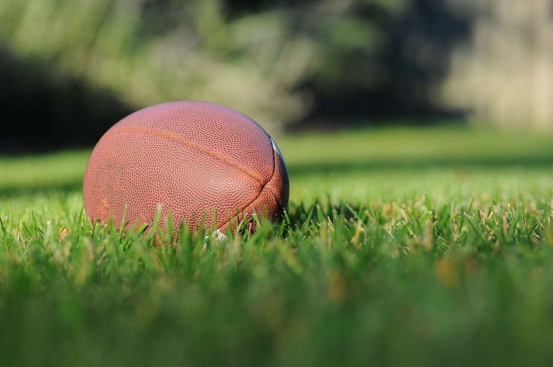 photographie de mise au point sélective du football brun sur l'herbe puzzle en ligne