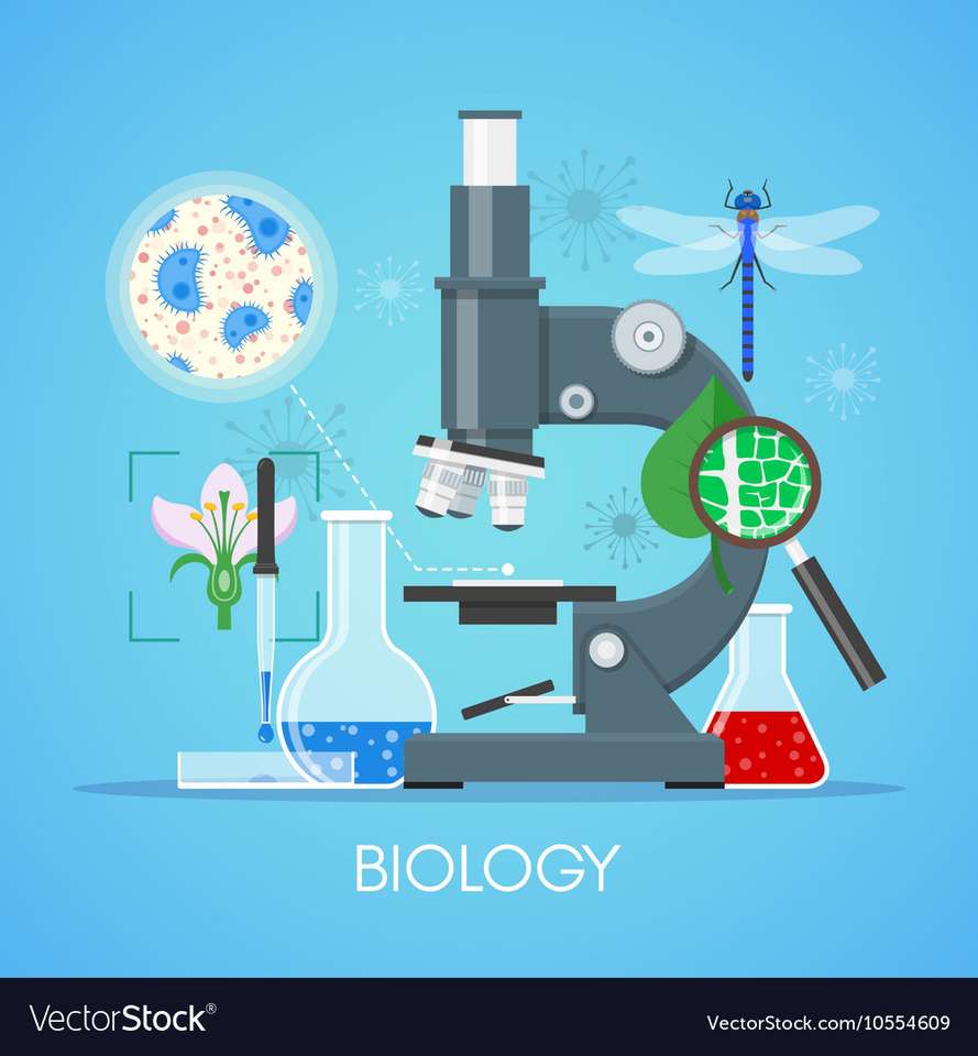 biológia 1 online puzzle