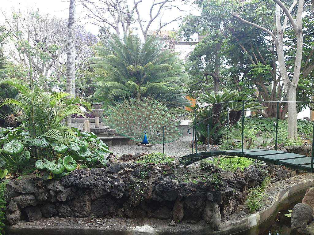 Jardín de la Marquesa de Arucas rompecabezas en línea